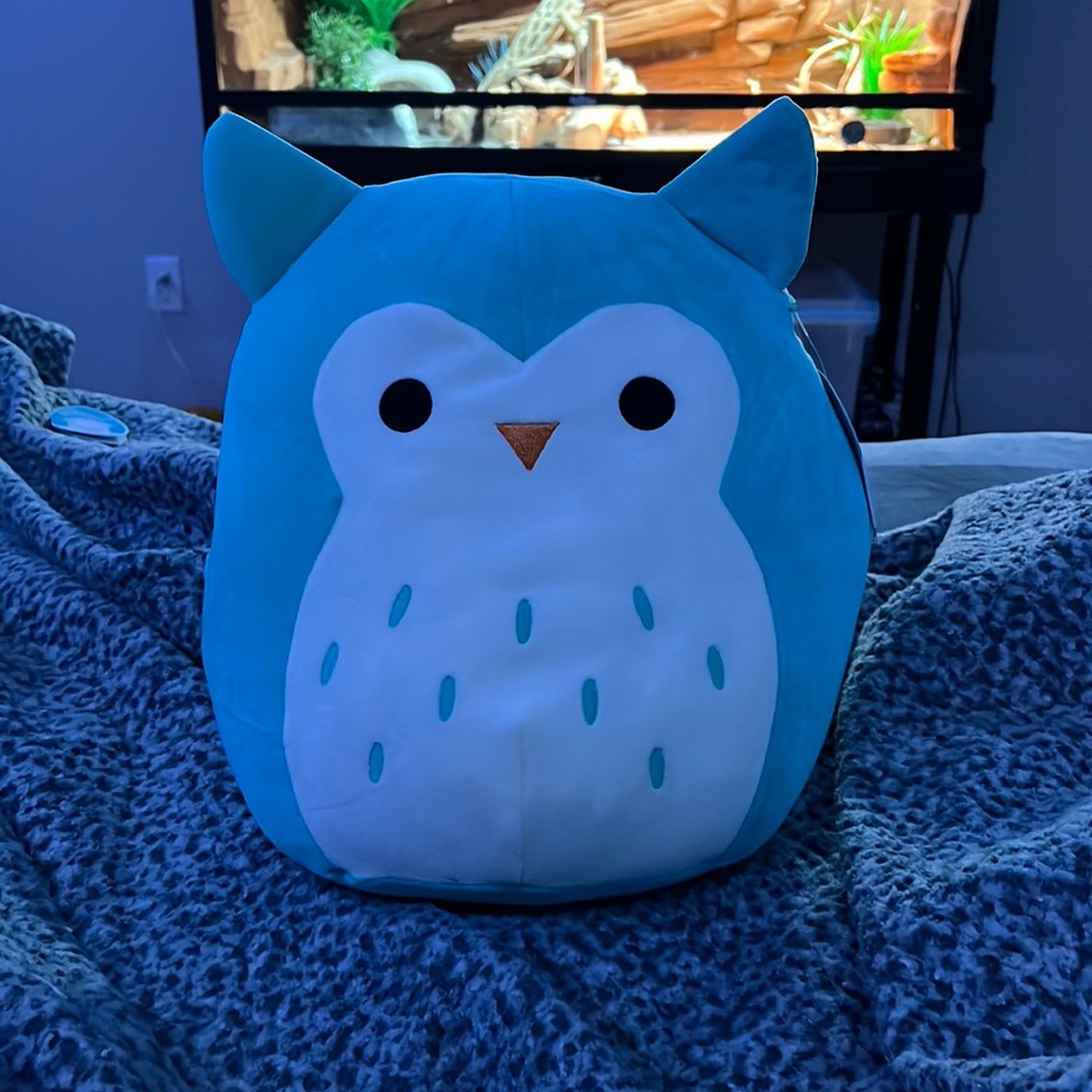 Cute Owl Squishmallow